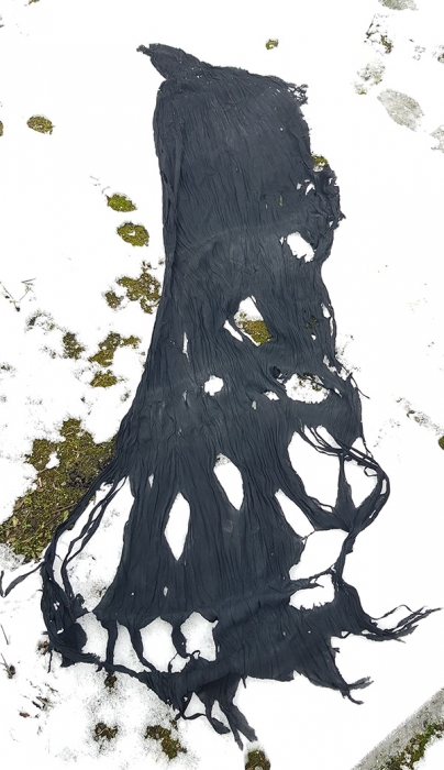 https://www.lisastewart.au:443/files/gimgs/th-75_StewartLisa_Collaborations-with-Atmospheric-Forces_Black-Cloth_web.jpg